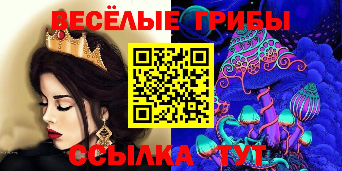 Галлюциногенные грибы прущие грибы  Вход с VPN  Гурьевск 